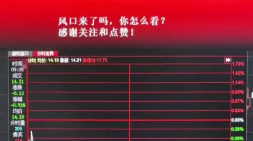 通辽_2025新澳门资料免费精准大全,揭批风口详细解答、解释与落实